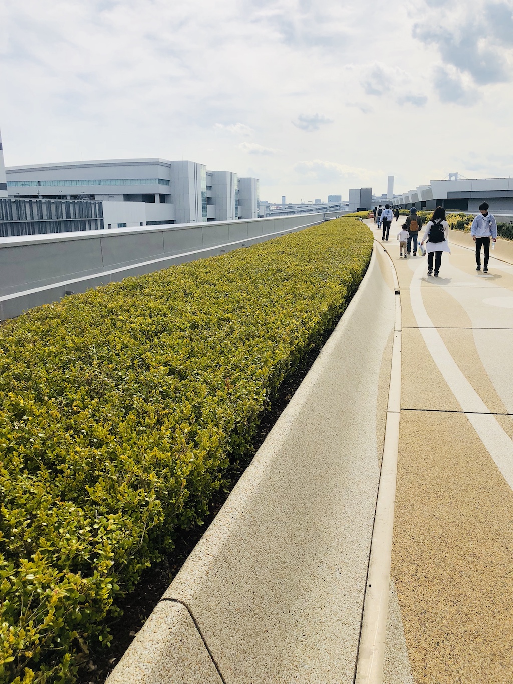 豊洲市場屋上