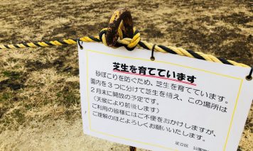 芝生の補修
